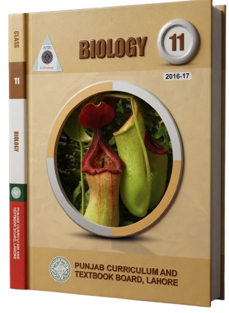 1st Year BiologyBook